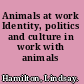 Animals at work Identity, politics and culture in work with animals /