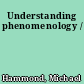 Understanding phenomenology /