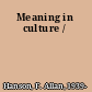 Meaning in culture /
