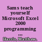 Sams teach yourself Microsoft Excel 2000 programming in 21 days /