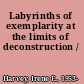 Labyrinths of exemplarity at the limits of deconstruction /