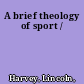 A brief theology of sport /