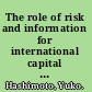 The role of risk and information for international capital flows new evidence from the SDDS /