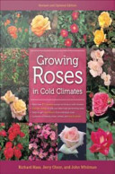 Growing roses in cold climates