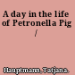 A day in the life of Petronella Pig /