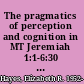 The pragmatics of perception and cognition in MT Jeremiah 1:1-6:30 a cognitive linguistics approach /