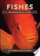 Fishes : the animal answer guide /