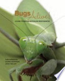 Bugs alive a guide to keeping Australian invertebrates /