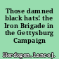 Those damned black hats! the Iron Brigade in the Gettysburg Campaign /