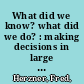 What did we know? what did we do? : making decisions in large organizations /