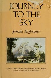 Journey to the sky : a novel about the true adventures of two men in search of the lost Maya kingdom /