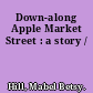 Down-along Apple Market Street : a story /