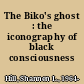 The Biko's ghost : the iconography of black consciousness /