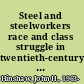 Steel and steelworkers race and class struggle in twentieth-century Pittsburgh /
