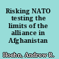 Risking NATO testing the limits of the alliance in Afghanistan /