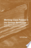 Working class politics in the German Revolution : Richard Müller, the revolutionary shop stewards and the origins of the council movement /