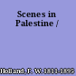 Scenes in Palestine /
