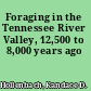 Foraging in the Tennessee River Valley, 12,500 to 8,000 years ago