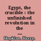 Egypt, the crucible : the unfinished revolution in the Arab world /