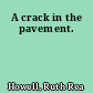 A crack in the pavement.