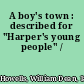 A boy's town : described for "Harper's young people" /