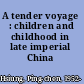 A tender voyage : children and childhood in late imperial China /