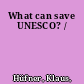 What can save UNESCO? /