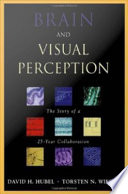 Brain and visual perception the story of a 25-year collaboration /