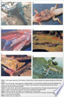 Crocodiles biology, husbandry and diseases /