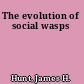 The evolution of social wasps