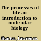 The processes of life an introduction to molecular biology /