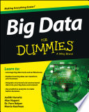 Big data for dummies