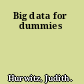 Big data for dummies