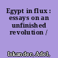 Egypt in flux : essays on an unfinished revolution /