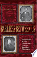 Barriers between us : interracial sex in nineteenth-century American literature /