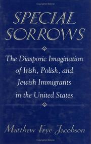 Special sorrows : the diasporic imagination of Irish, Polish, and Jewish immigrants in the United States /