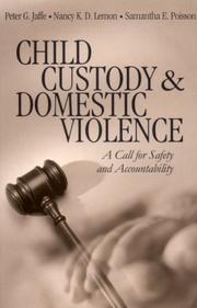 Child custody & domestic violence : a call for safety and accountability /