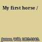 My first horse /