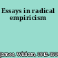 Essays in radical empiricism