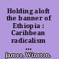 Holding aloft the banner of Ethiopia : Caribbean radicalism in early twentieth-century America /