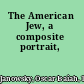 The American Jew, a composite portrait,
