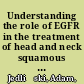 Understanding the role of EGFR in the treatment of head and neck squamous cell carcinoma /