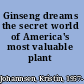 Ginseng dreams the secret world of America's most valuable plant /
