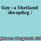 Gay : a Shetland sheepdog /