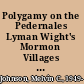 Polygamy on the Pedernales Lyman Wight's Mormon Villages in Antebellum Texas 1845-1858 /