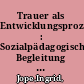 Trauer als Entwicklungsprozess : Sozialpädagogische Begleitung von Trauerarbeit unter besonderer Berücksichtigung kreativer Medien /