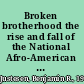 Broken brotherhood the rise and fall of the National Afro-American Council /