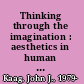 Thinking through the imagination : aesthetics in human cognition /