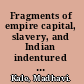 Fragments of empire capital, slavery, and Indian indentured labor migration in the British Caribbean /