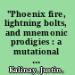 "Phoenix fire, lightning bolts, and mnemonic prodigies : a mutational archive of trauma" /